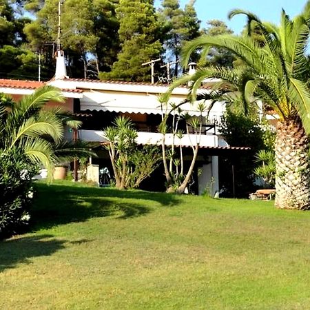Beachfront Villa 100M From Sea For Up To 10 Guests Siviri Exteriör bild