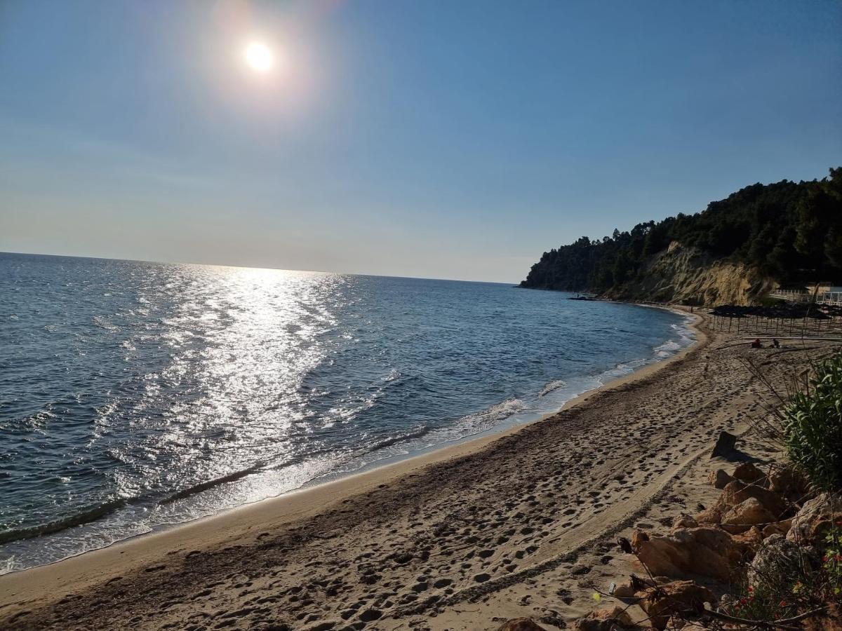 Beachfront Villa 100M From Sea For Up To 10 Guests Siviri Exteriör bild