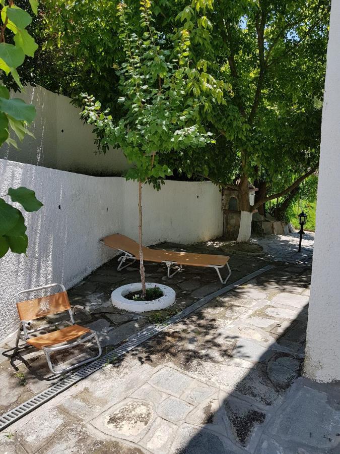 Beachfront Villa 100M From Sea For Up To 10 Guests Siviri Exteriör bild