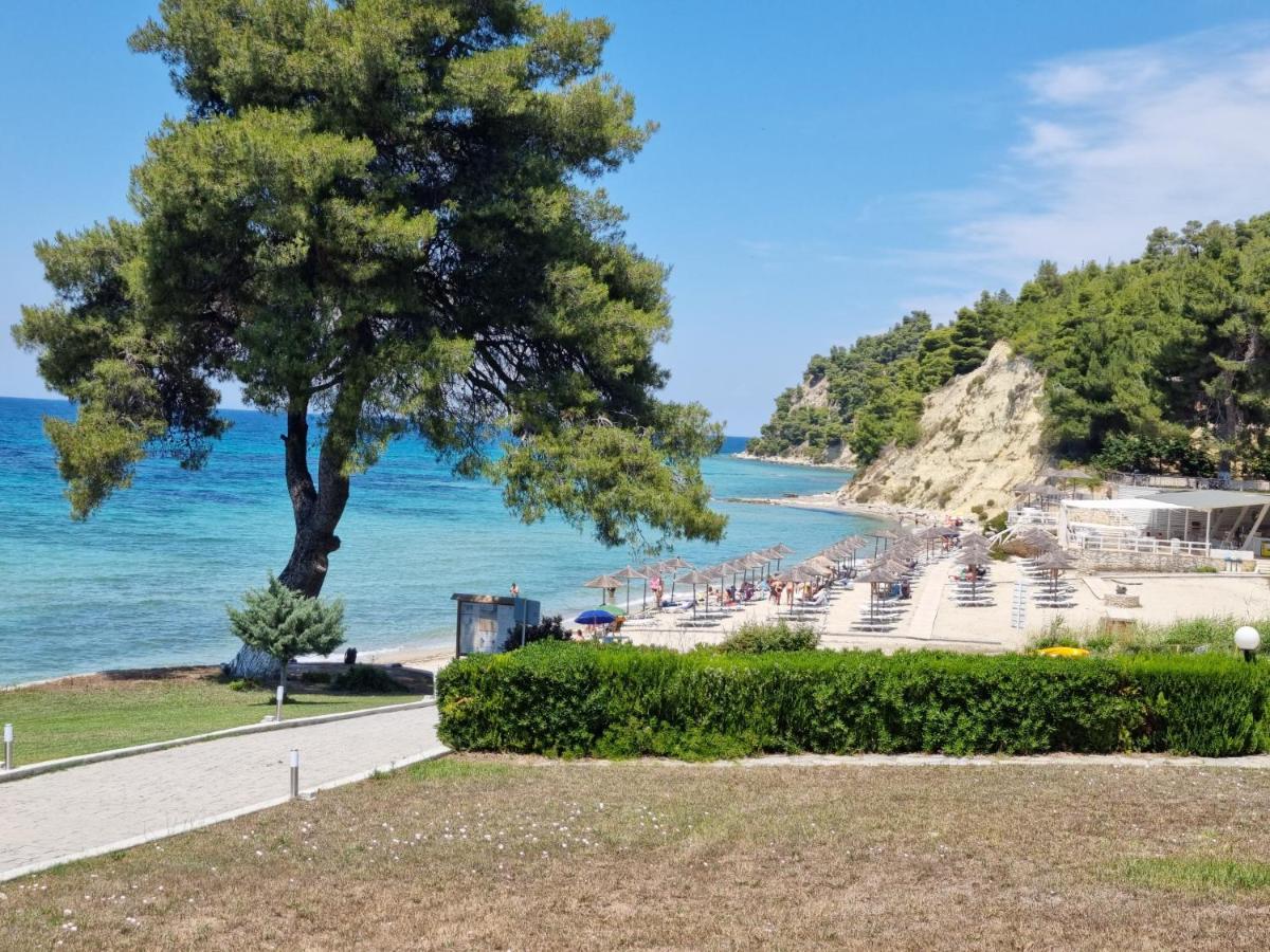 Beachfront Villa 100M From Sea For Up To 10 Guests Siviri Exteriör bild
